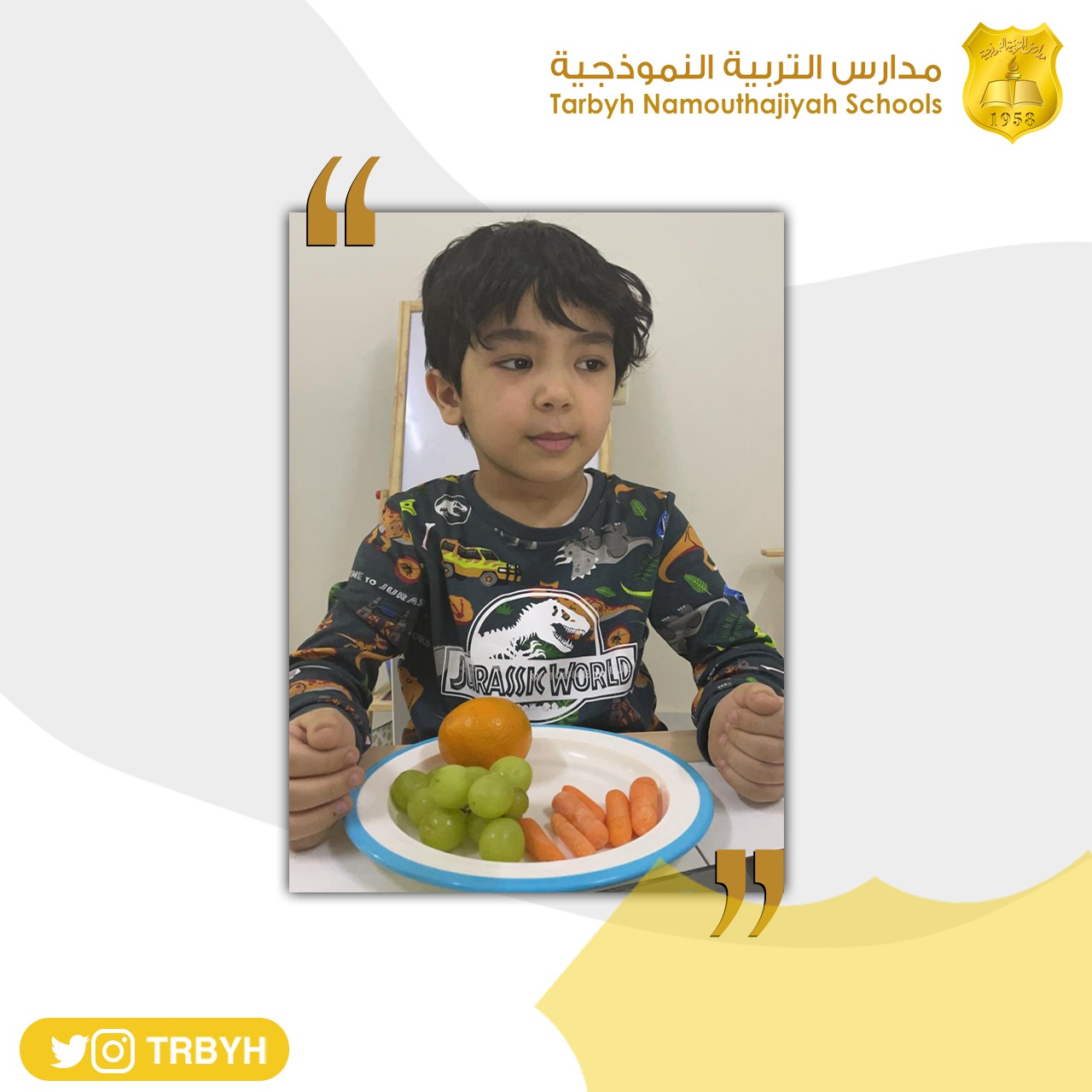 نشاط الطباخ الصغير 